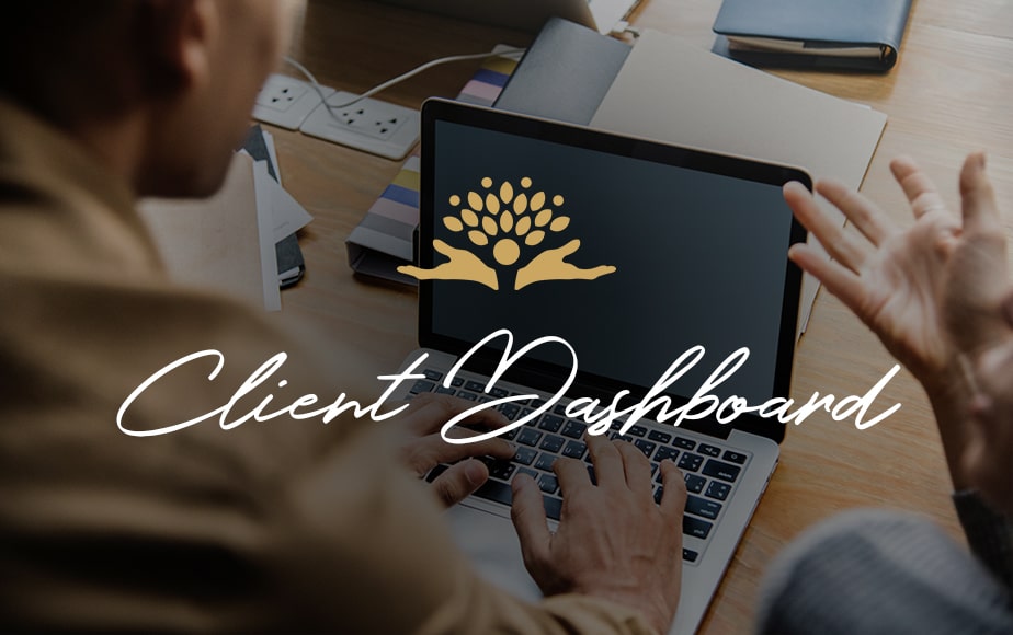 Client Dashboard Button -view or make changes to your financial plan